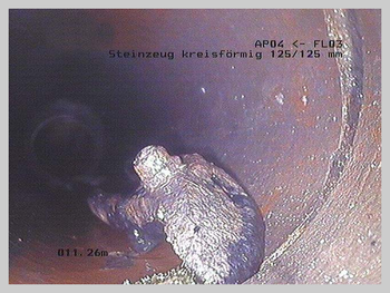 csm_CANSAN_-_Wurzeleinwuchs_ba460a0428